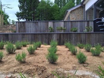  Grey barnwood claddings 